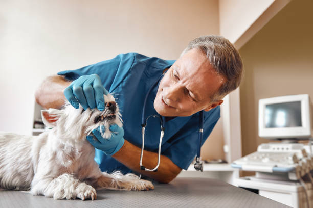 Best Emergency TMJ Treatment in Darlington, SC
